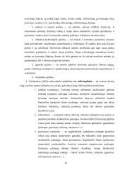 Organizacijos strateginis valdymas 16 puslapis