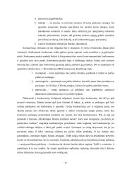 Organizacijos strateginis valdymas 17 puslapis