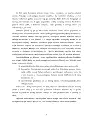 Organizacijos strateginis valdymas 18 puslapis