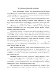 Organizacijos strateginis valdymas 19 puslapis