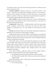 Organizacijos strateginis valdymas 20 puslapis