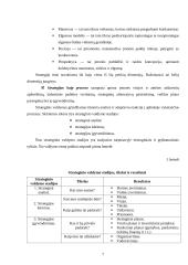 Organizacijos strateginis valdymas 7 puslapis