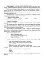 Organizacijos struktūra bei jos tipai 2 puslapis