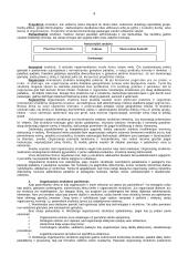 Organizacijos struktūra bei jos tipai 4 puslapis