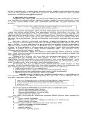 Organizacijos struktūra bei jos tipai 5 puslapis