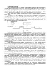 Organizacijos struktūra bei jos tipai 6 puslapis