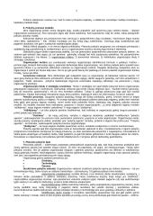 Organizacijos struktūra bei jos tipai 7 puslapis