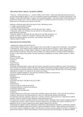 Organizacijos valdymas 3 puslapis