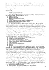 Organizacijos valdymas 5 puslapis