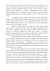 Organizacijos veiklos esmė ir principai 13 puslapis