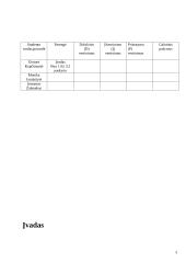 Organizacijos veiklos esmė ir principai 3 puslapis