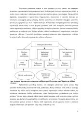 Organizacijos veiklos esmė ir principai 9 puslapis