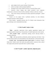 Organizacijos vizija, misija, filosofija, strateginės problemos ir tikslai: sporto ir pramogų centras UAB "Trasalis" 5 puslapis