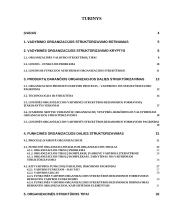 Organizacijų struktūrizavimas 1 puslapis