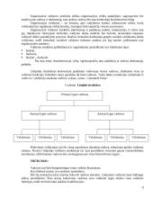 Organizacijų struktūrizavimas 7 puslapis
