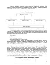 Organizacijų struktūrizavimas 8 puslapis