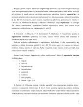 Organizacijų struktūros. Linijinės, funkcinės ir matricinės jų komponentės 2 puslapis