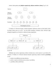 Organizacijų struktūros. Linijinės, funkcinės ir matricinės jų komponentės 4 puslapis