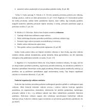 Organizacijų struktūros. Linijinės, funkcinės ir matricinės jų komponentės 5 puslapis