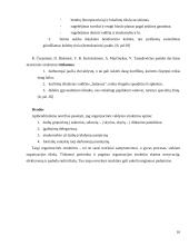 Organizacijų struktūros. Linijinės, funkcinės ir matricinės jų komponentės 10 puslapis