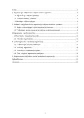 Organizacijų valdymas XXI amžiaus perspektyvoje