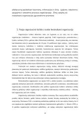 Organizacijų valdymas XXI amžiaus perspektyvoje 19 puslapis