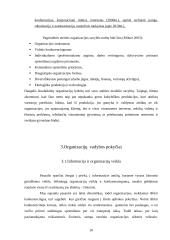 Organizacijų valdymas XXI amžiaus perspektyvoje 10 puslapis