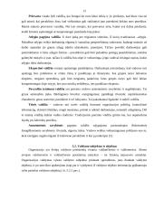 Organizacijų valdymo funkcijos 13 puslapis