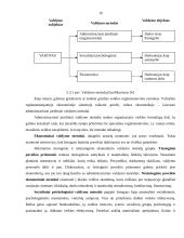 Organizacijų valdymo funkcijos 16 puslapis