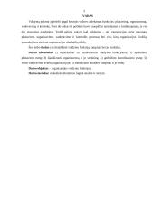 Organizacijų valdymo funkcijos 3 puslapis