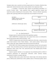 Organizacijų valdymo funkcijos 6 puslapis