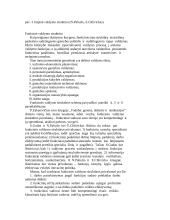 Organizacijų valdymo tikslai 4 puslapis