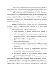 Organizacinės elgsenos tyrimas: prekybos centras "Senukai" 12 puslapis