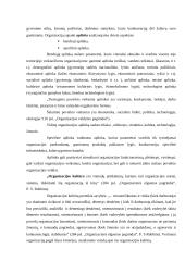 Organizacinės elgsenos tyrimas: prekybos centras "Senukai" 14 puslapis