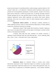 Organizacinės elgsenos tyrimas: prekybos centras "Senukai" 2 puslapis