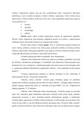 Organizacinės elgsenos tyrimas: prekybos centras "Senukai" 3 puslapis