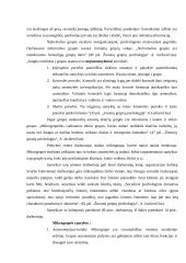 Organizacinės elgsenos tyrimas: prekybos centras "Senukai" 4 puslapis