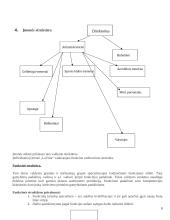 Organizacinės valdymo struktūros analizė: IĮ "LaVitta" 9 puslapis