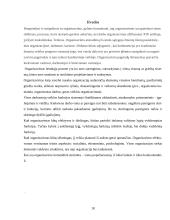 Organizavimo esmė, tikslai ir objektas 18 puslapis