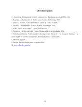 Organizavimo esmė, tikslai ir objektas 19 puslapis