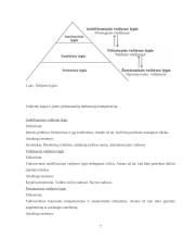 Organizavimo esmė, tikslai ir objektas 7 puslapis