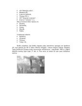 Oro tarša ir žmogaus sveikata 9 puslapis