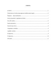 Pagirios ir jų profilaktika