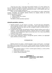 Pagirios ir jų profilaktika 9 puslapis