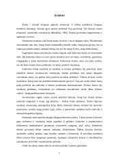 Pagrindinės šeimos socialinės problemos 2 puslapis