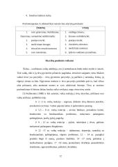 Pagrindinės šeimos socialinės problemos 12 puslapis
