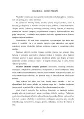 Pagrindinės šeimos socialinės problemos 17 puslapis