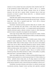Pagrindinės šeimos socialinės problemos 5 puslapis