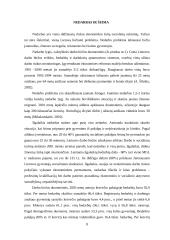 Pagrindinės šeimos socialinės problemos 8 puslapis