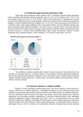 Pagrindiniai makroekonomikos rodikliai 12 puslapis